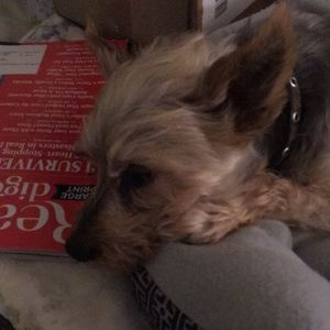 Meet your Posher, Joyce